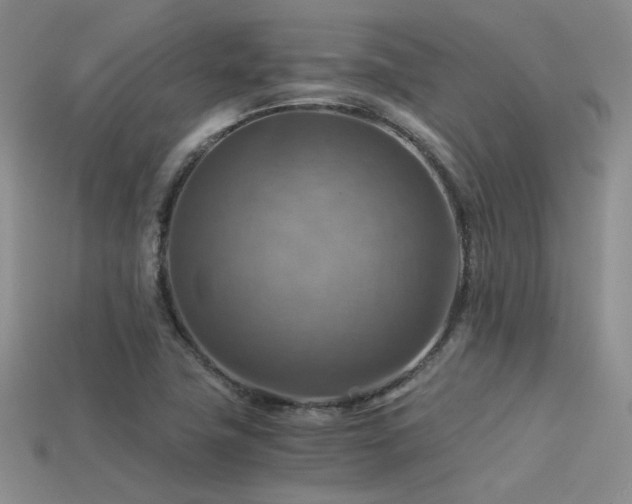 X0000113591411200909181322