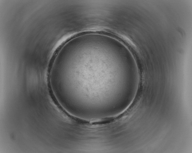 X0000113591412200909181322