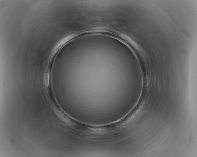 X0000113591413200909181322