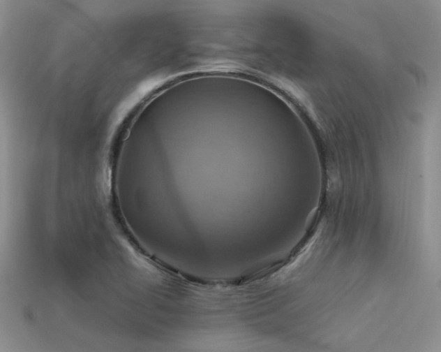 X0000113591414200909181322