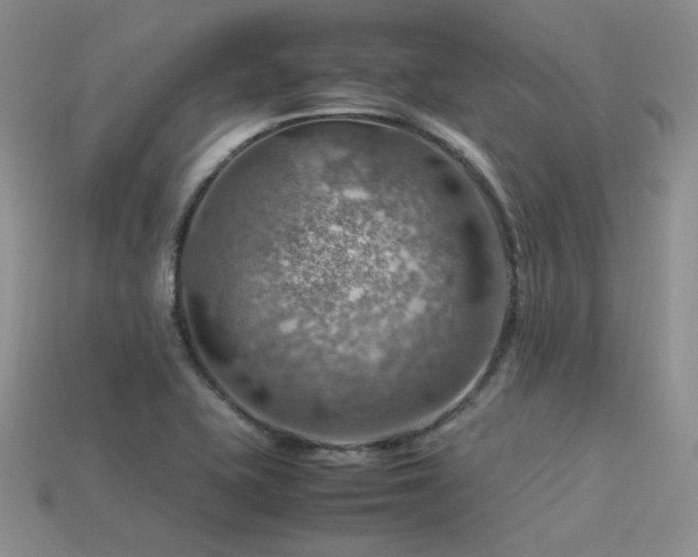 X0000113591415200909181322