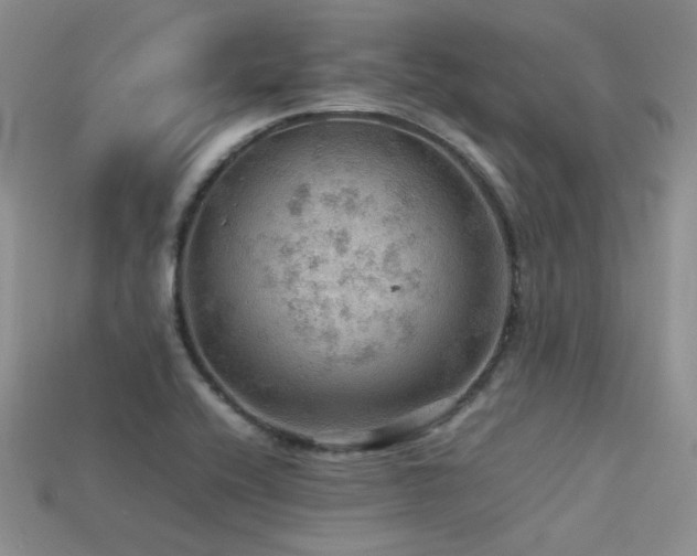 X0000113591416200909181322