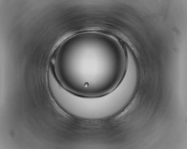 X0000113591417200909181322