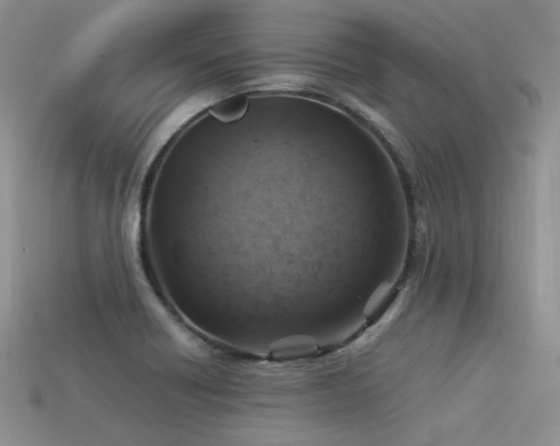 X0000113591418200909181322