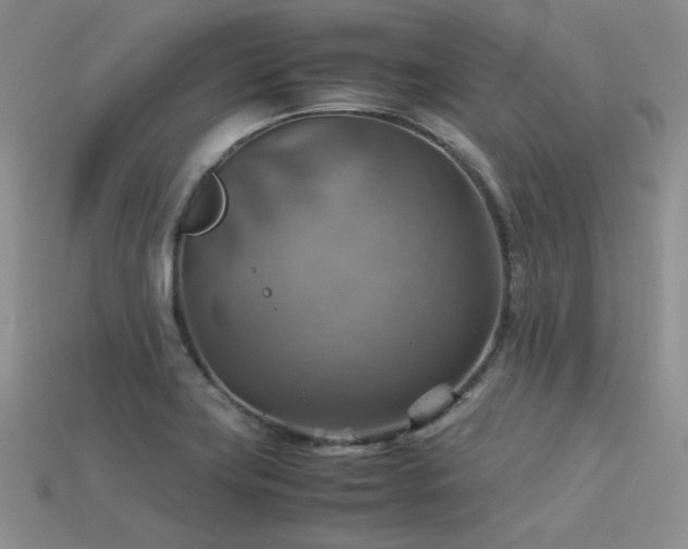 X0000113591419200909181322