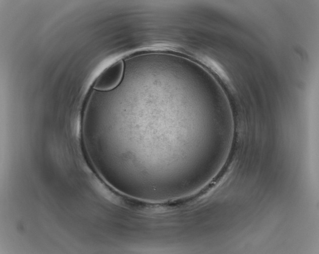 X0000113591420200909181322