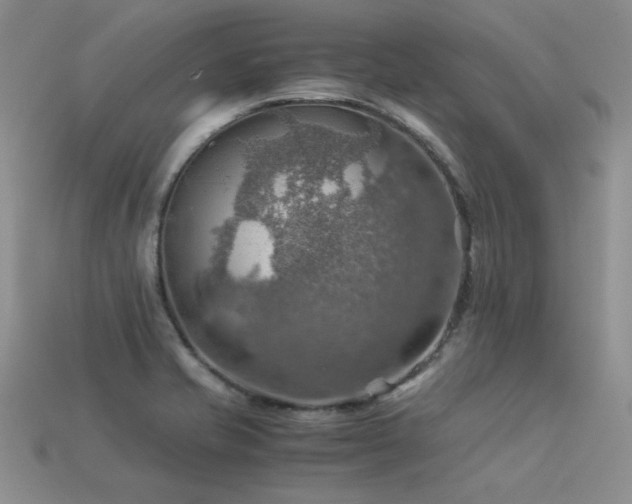 X0000113591421200909181322