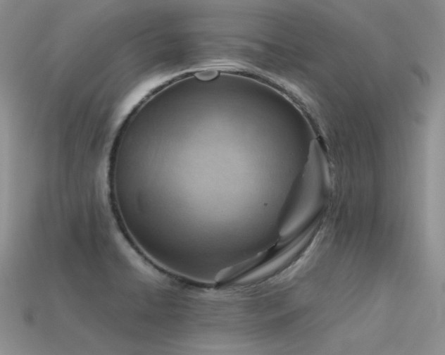 X0000113591422200909181322