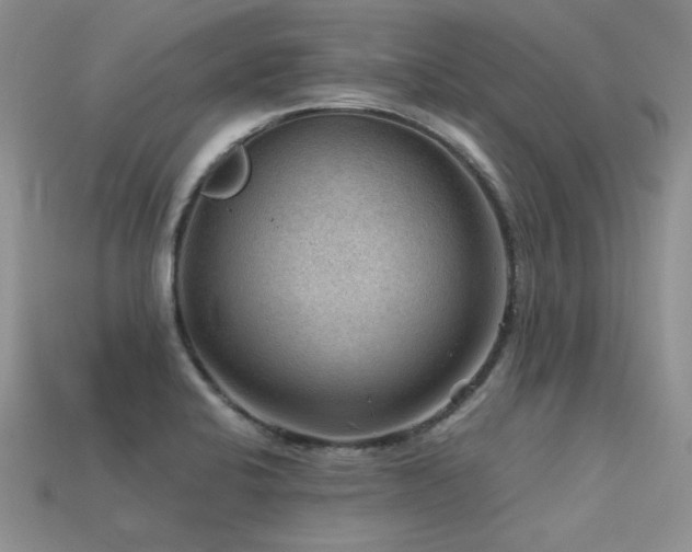 X0000113591424200909181322