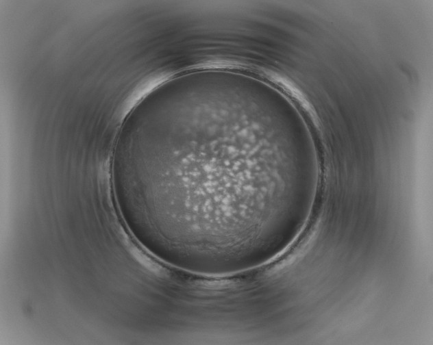 X0000113591425200909181322