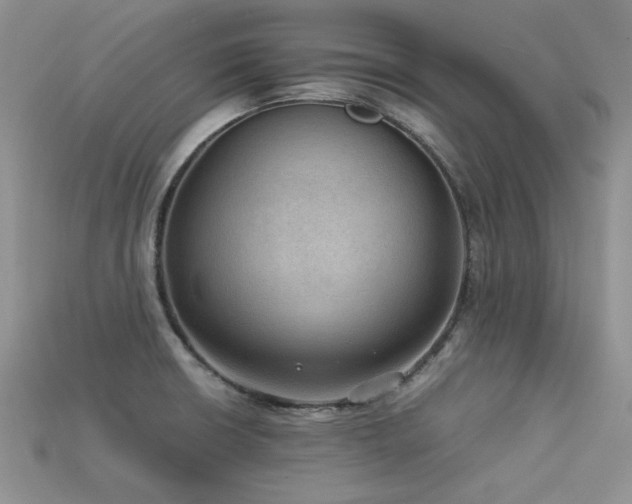 X0000113591426200909181322