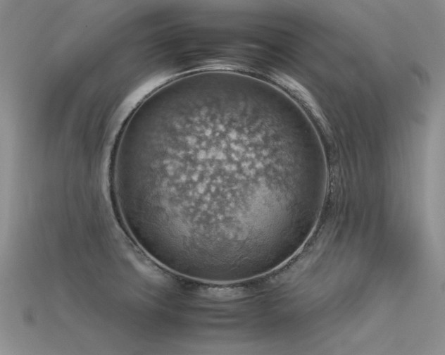 X0000113591427200909181322