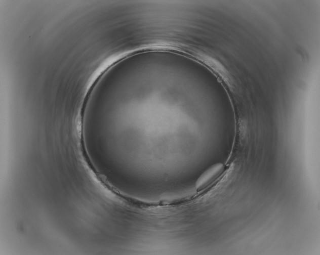 X0000113591428200909181322