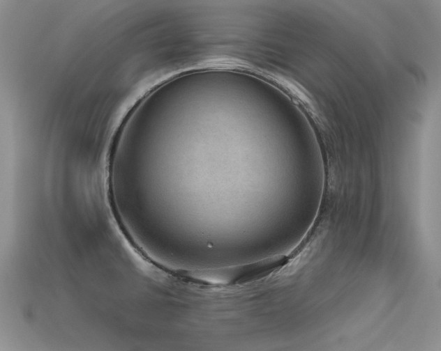 X0000113591430200909181322