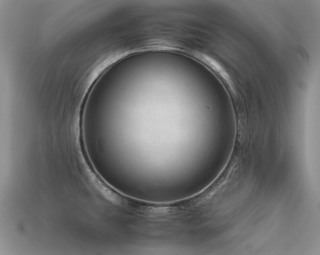 X0000113591431200909181322