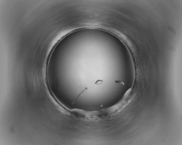 X0000113591432200909181322