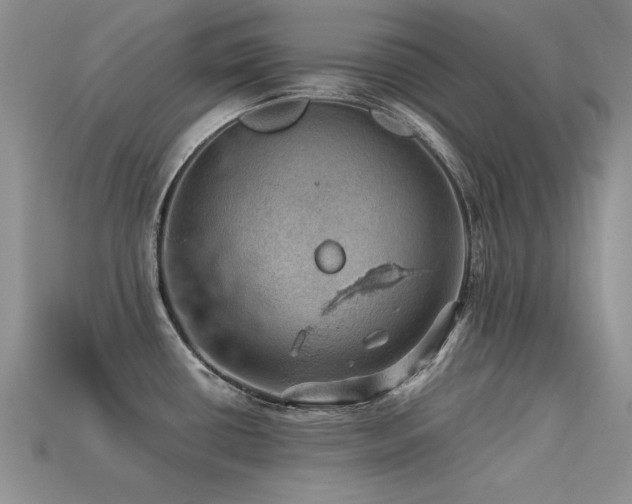 X0000113591434200909181322