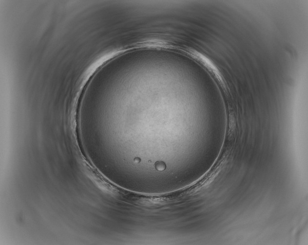 X0000113591435200909181322