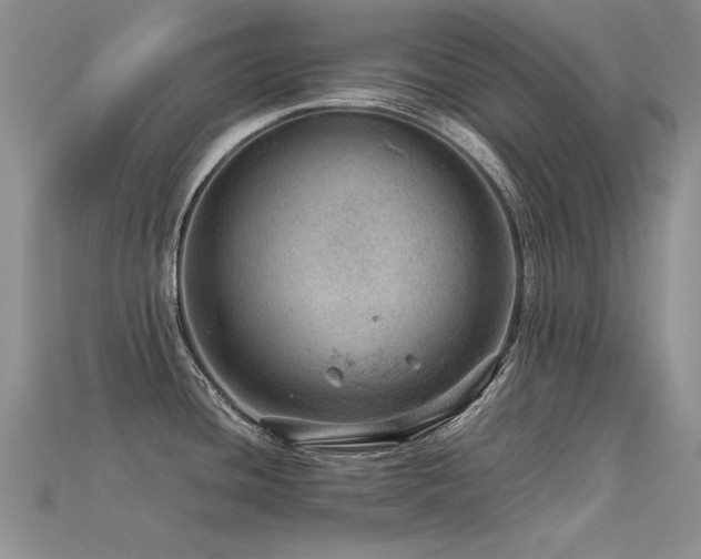 X0000113591436200909181322