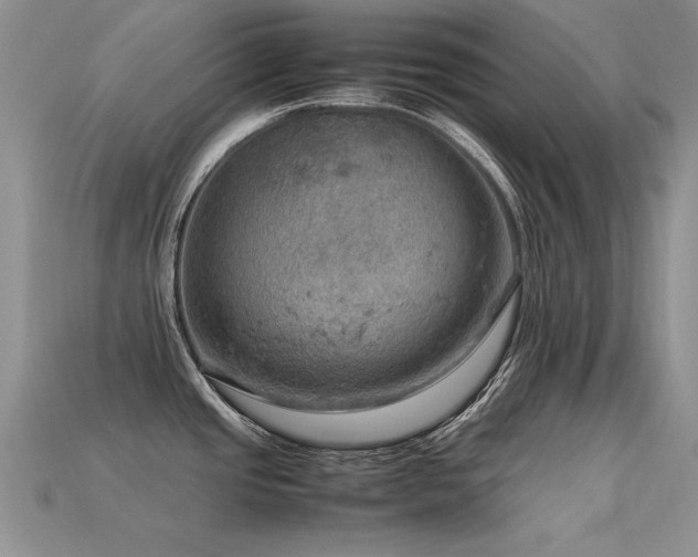 X0000113591437200909181322