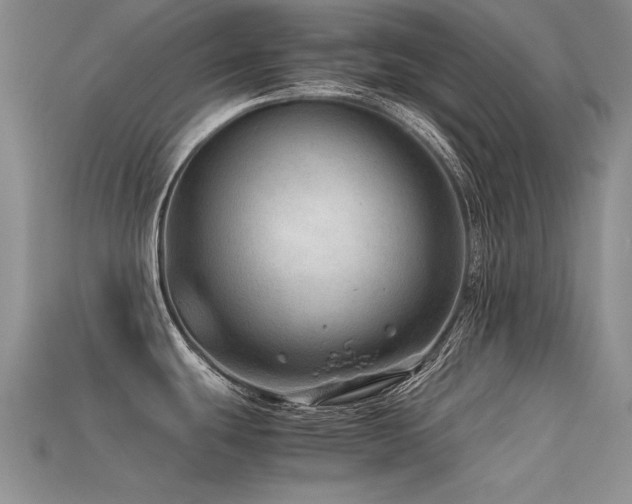 X0000113591439200909181322