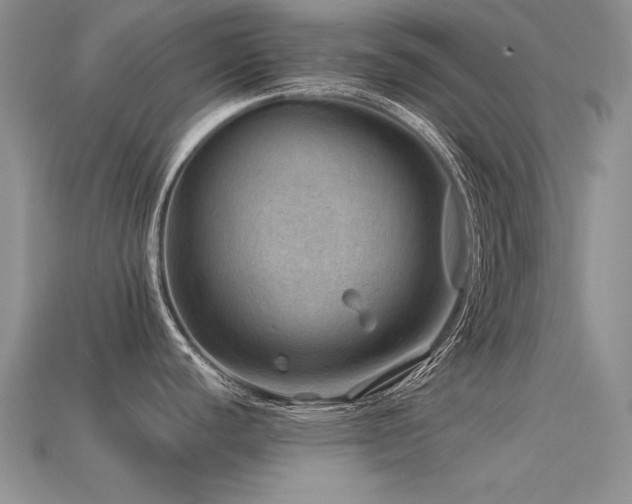 X0000113591440200909181322