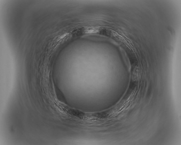 X0000113591441200909181321