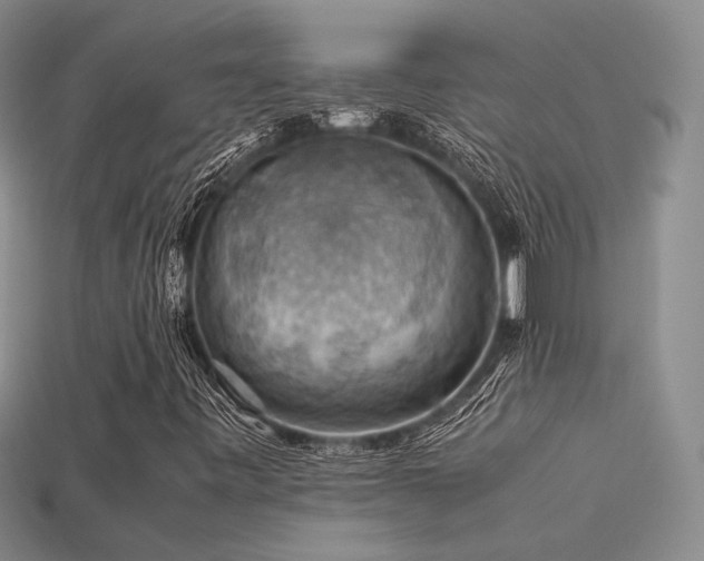 X0000113591443200909181321