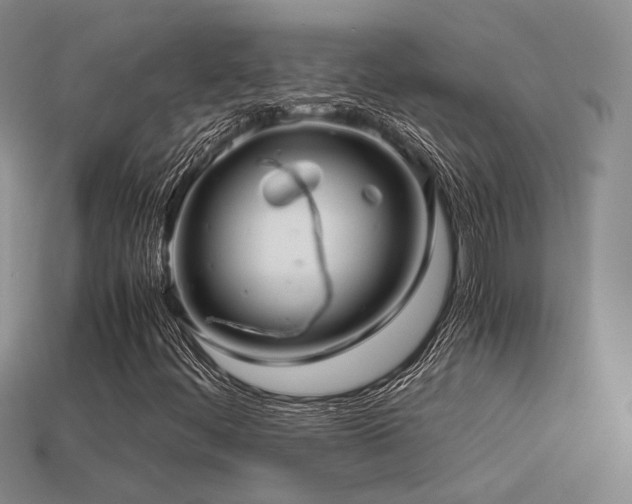 X0000113591444200909181321