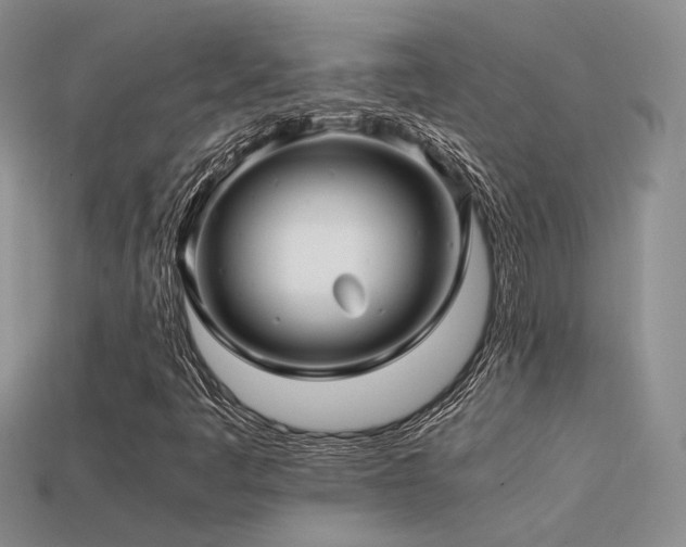 X0000113591445200909181321