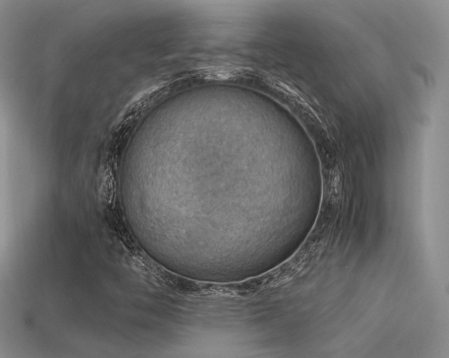 X0000113591446200909181321