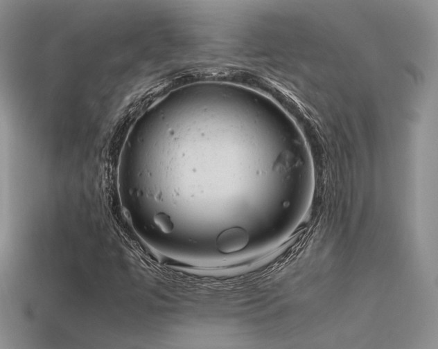 X0000113591447200909181321