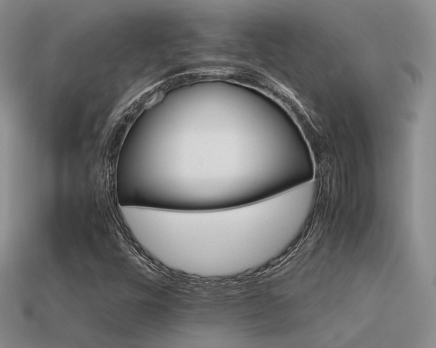 X0000113591448200909181321