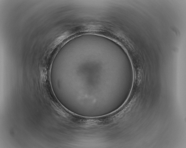 X0000113591449200909181321