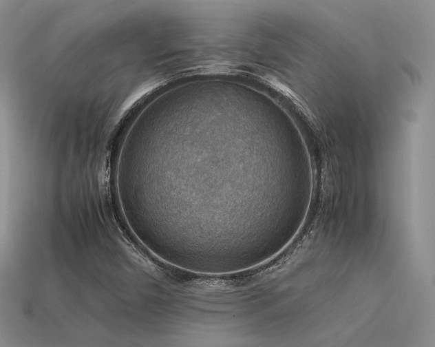 X0000113591450200909181321