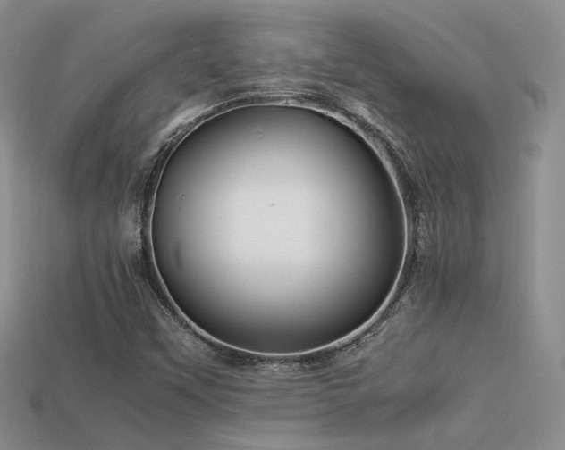 X0000113591451200909181321