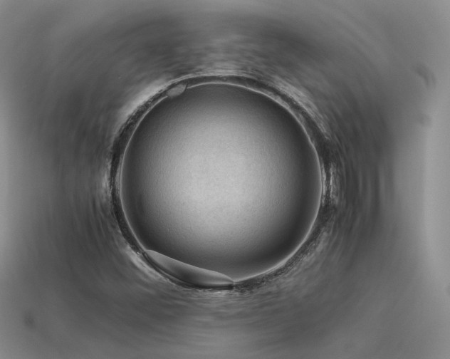 X0000113591452200909181321