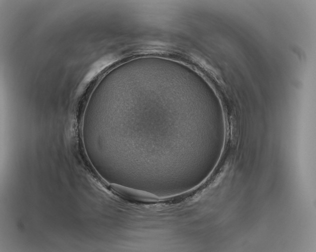 X0000113591453200909181321