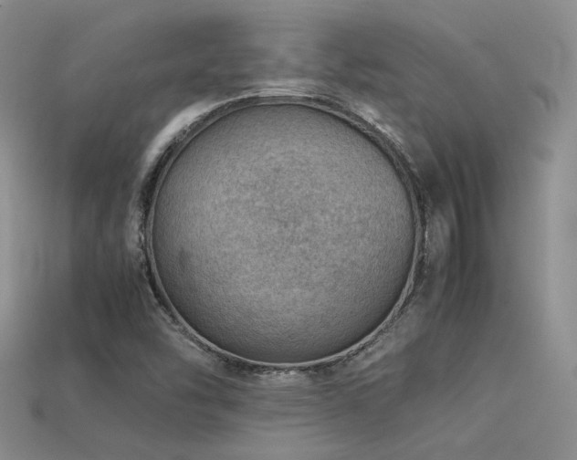 X0000113591454200909181321