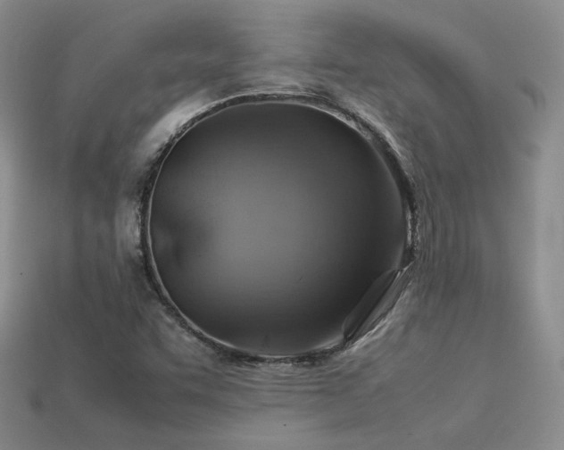 X0000113591455200909181321