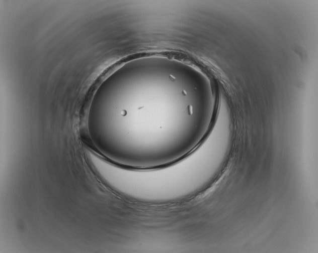 X0000113591457200909181321