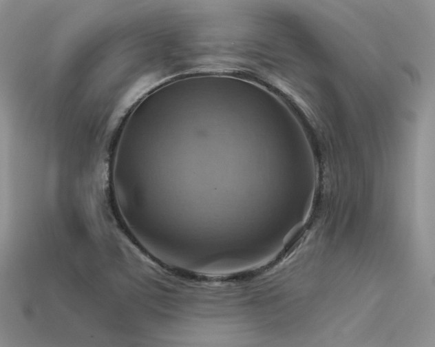 X0000113591459200909181321