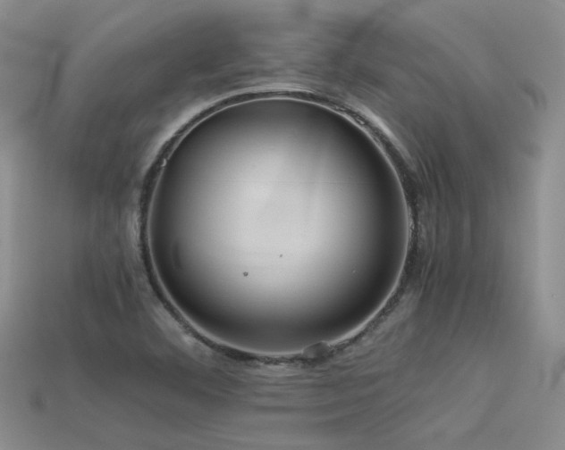 X0000113591460200909181321