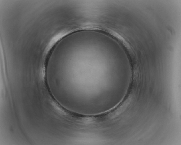 X0000113591461200909181321