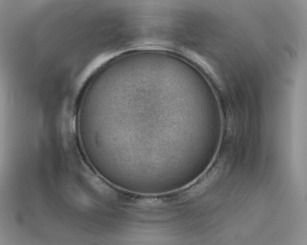 X0000113591462200909181321