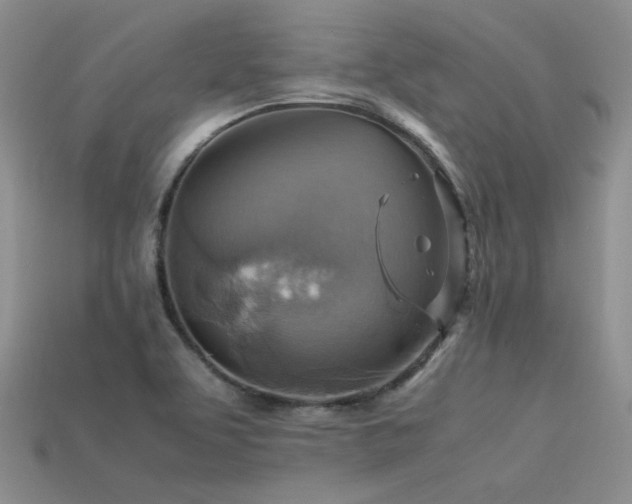 X0000113591463200909181321