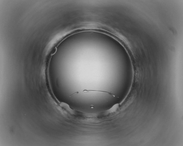 X0000113591464200909181321