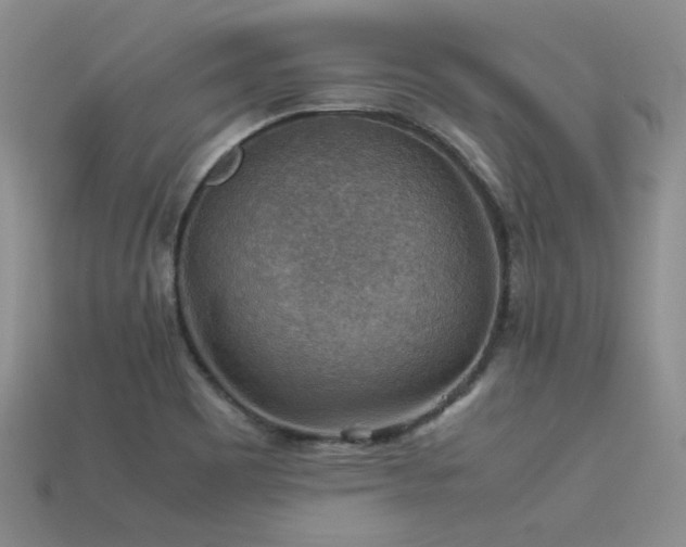 X0000113591465200909181321