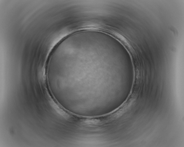 X0000113591466200909181321