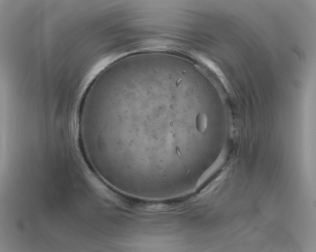 X0000113591467200909181321